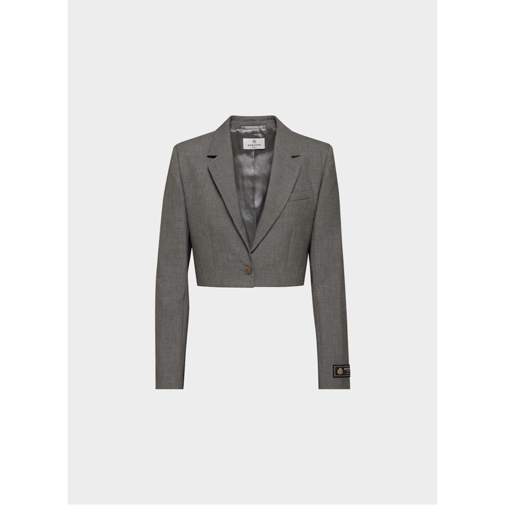 nwot Babaton Arbus blazer 4